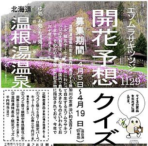 つつじの開花予想クイズ
