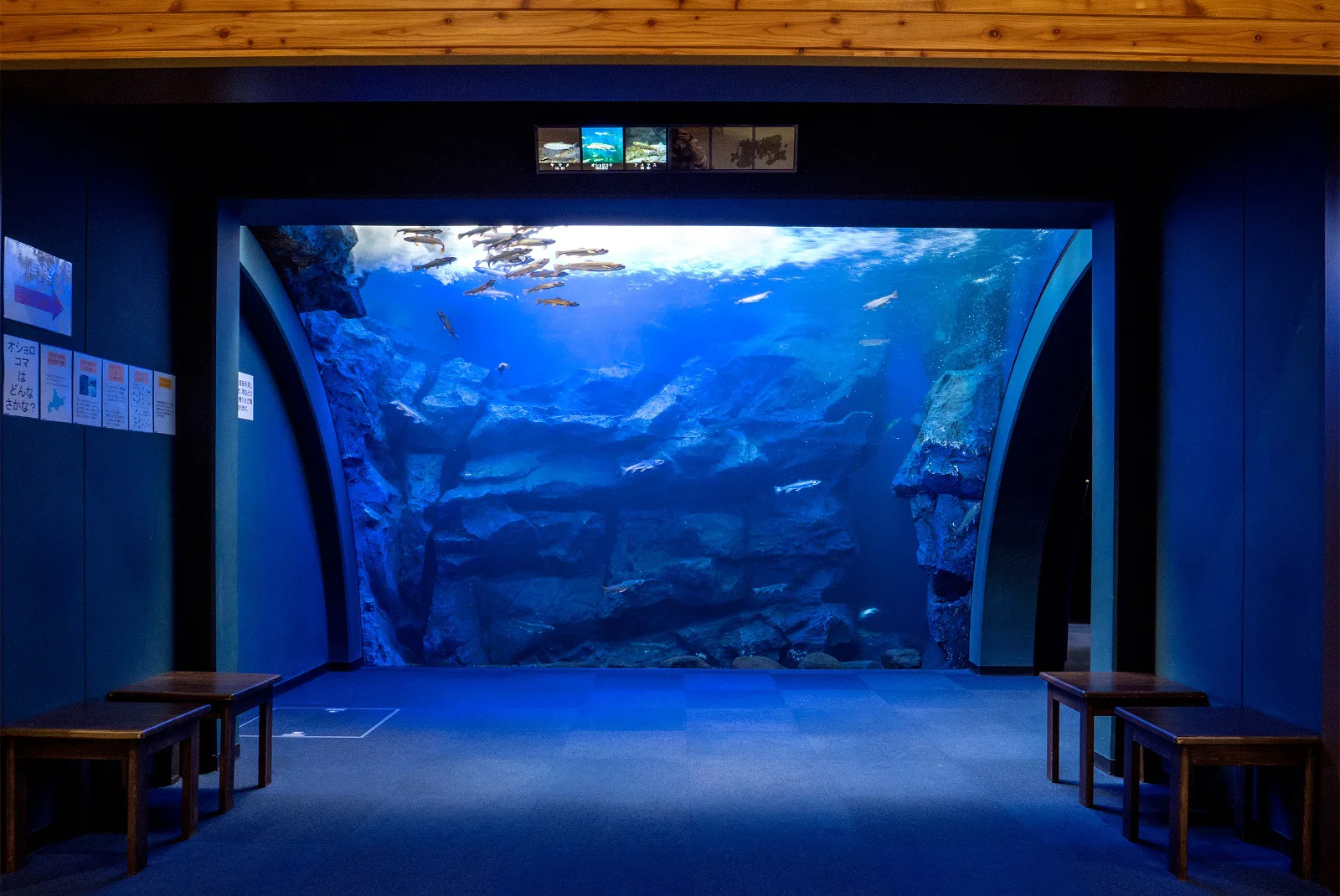 北の大地の水族館（山の水族館）