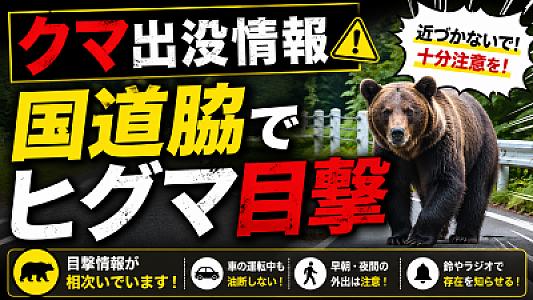 【クマ出没情報】北見市留辺蘂町富士見の国道脇でヒグマ目撃