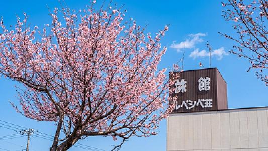 旅館ルベシベ荘