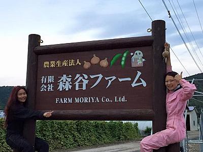 農業生産法人　森谷ファーム
